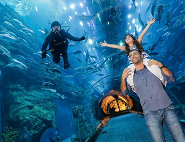 Dubai Mall | Underwater Zoo and Aquarium