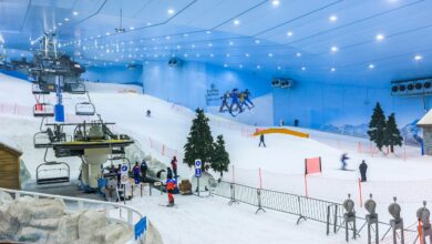 Review: Why Ski Dubai Offers Deserve a Spot on Every Traveler's Bucket List